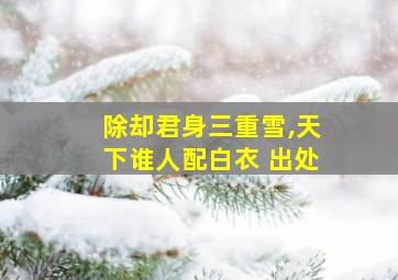 除却君身三重雪,天下谁人配白衣 出处